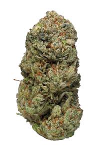 Legends OG - Hybrid Cannabis Strain by Hytiva Legends OG - Hybrid Cannabis Strain